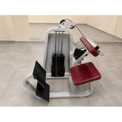 ТРЕНАЖЕР ДЛЯ СПИНИ PRECOR BACK EXTENSION 313 (Б/У) ТРЕНАЖЕР ДЛЯ СПИНИ PRECOR BACK EXTENSION 313 (Б/У)